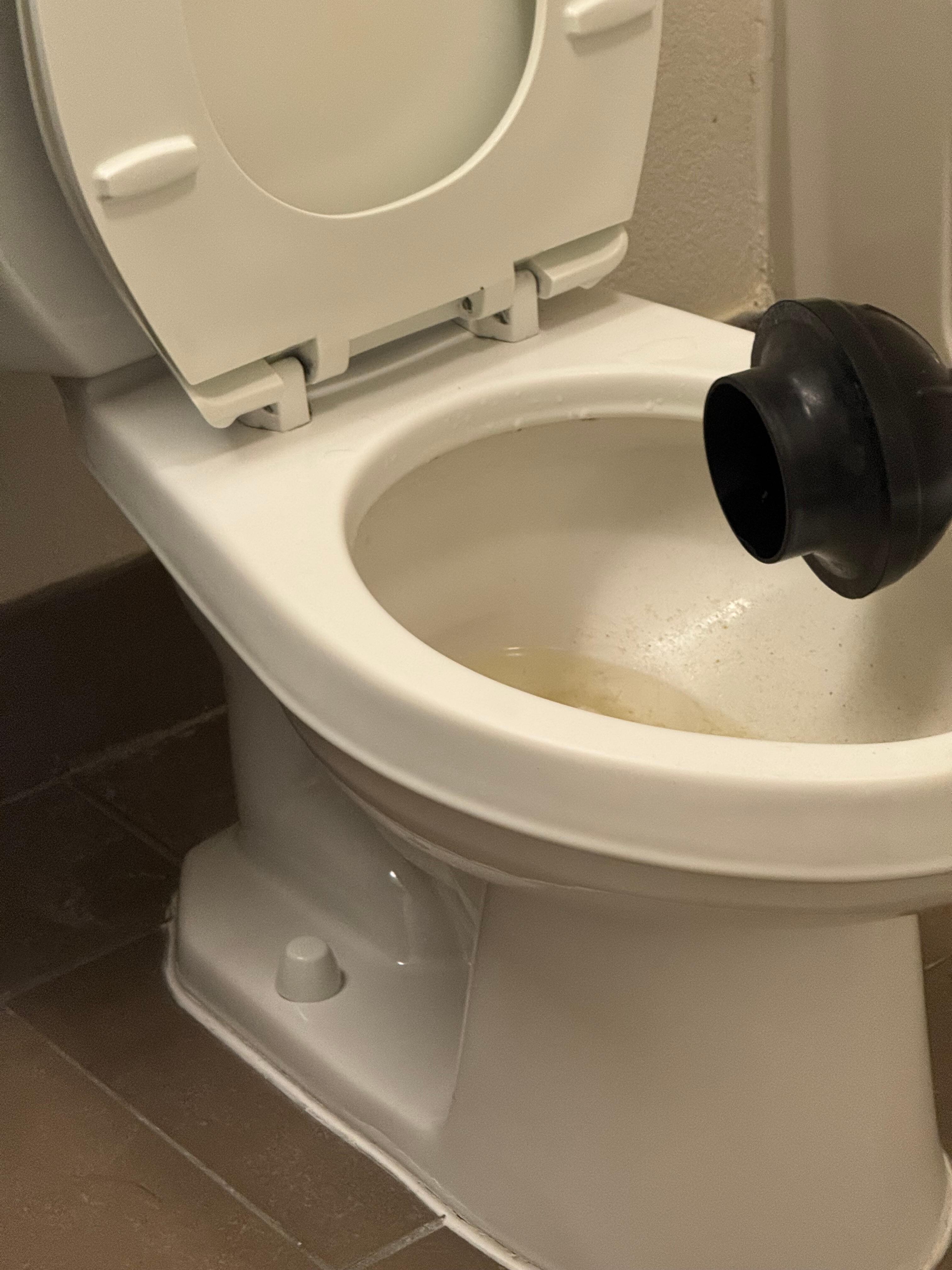 My dissatisfaction with Sonesta Simply Suites only deepened when, after the abysmal restroom situation left me no choice but to check out, I reflected on the glaring inconsistency in their service. When I desperately needed a plunger for my clogged t
