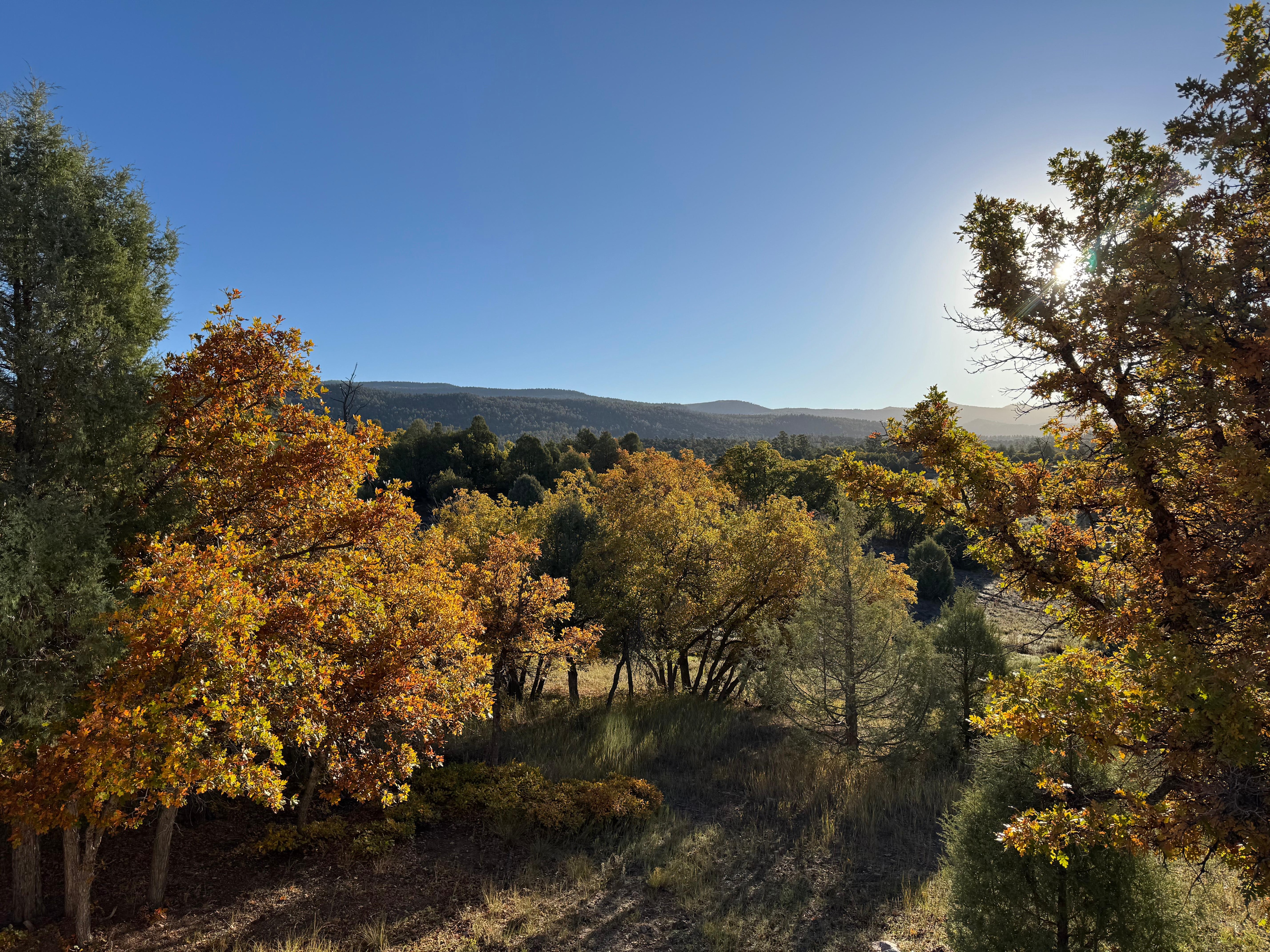 View from front deck. 