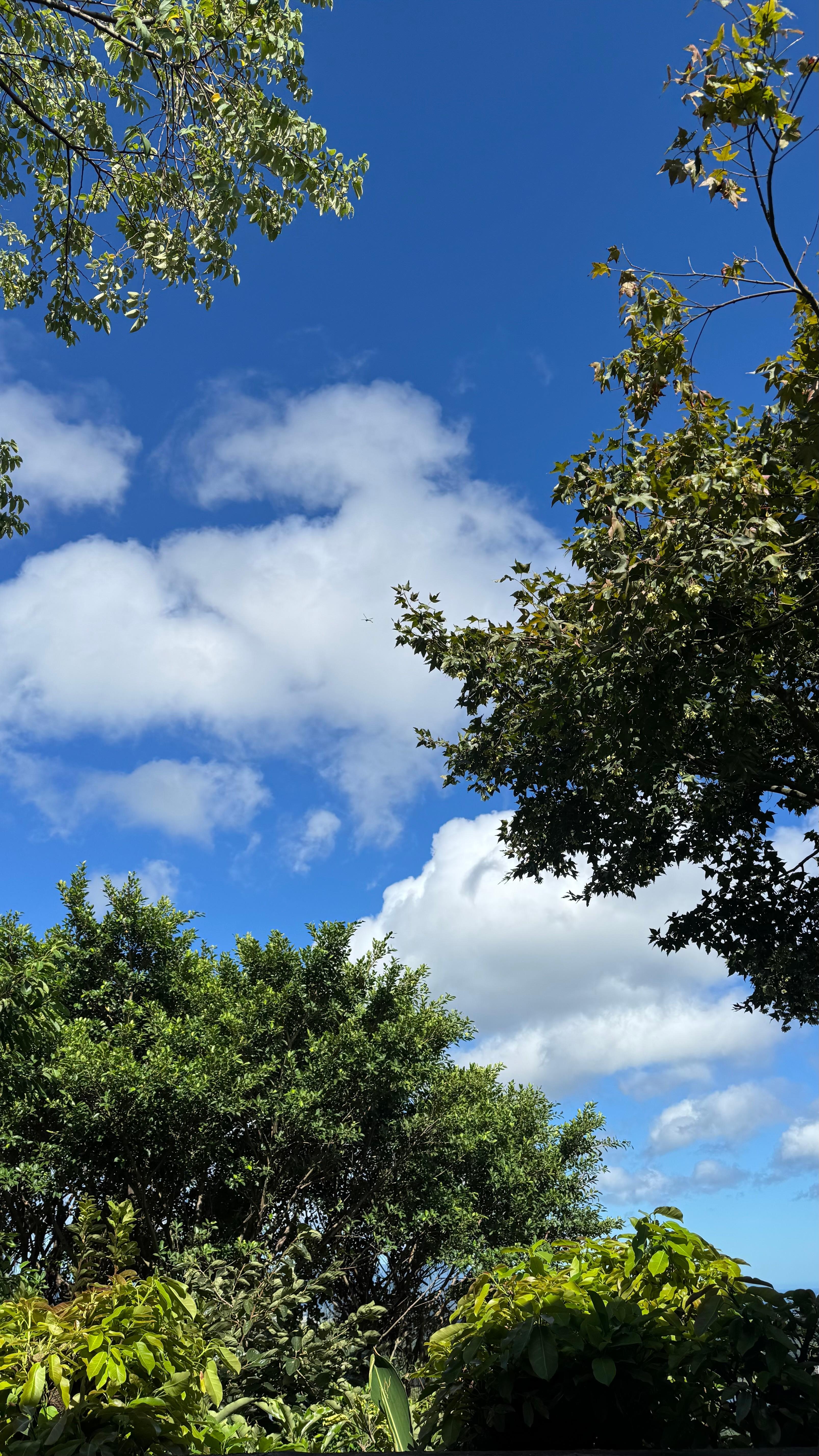 躺在陽台躺椅的天空