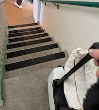 CARRY YOUR BAGS UP FLOORS