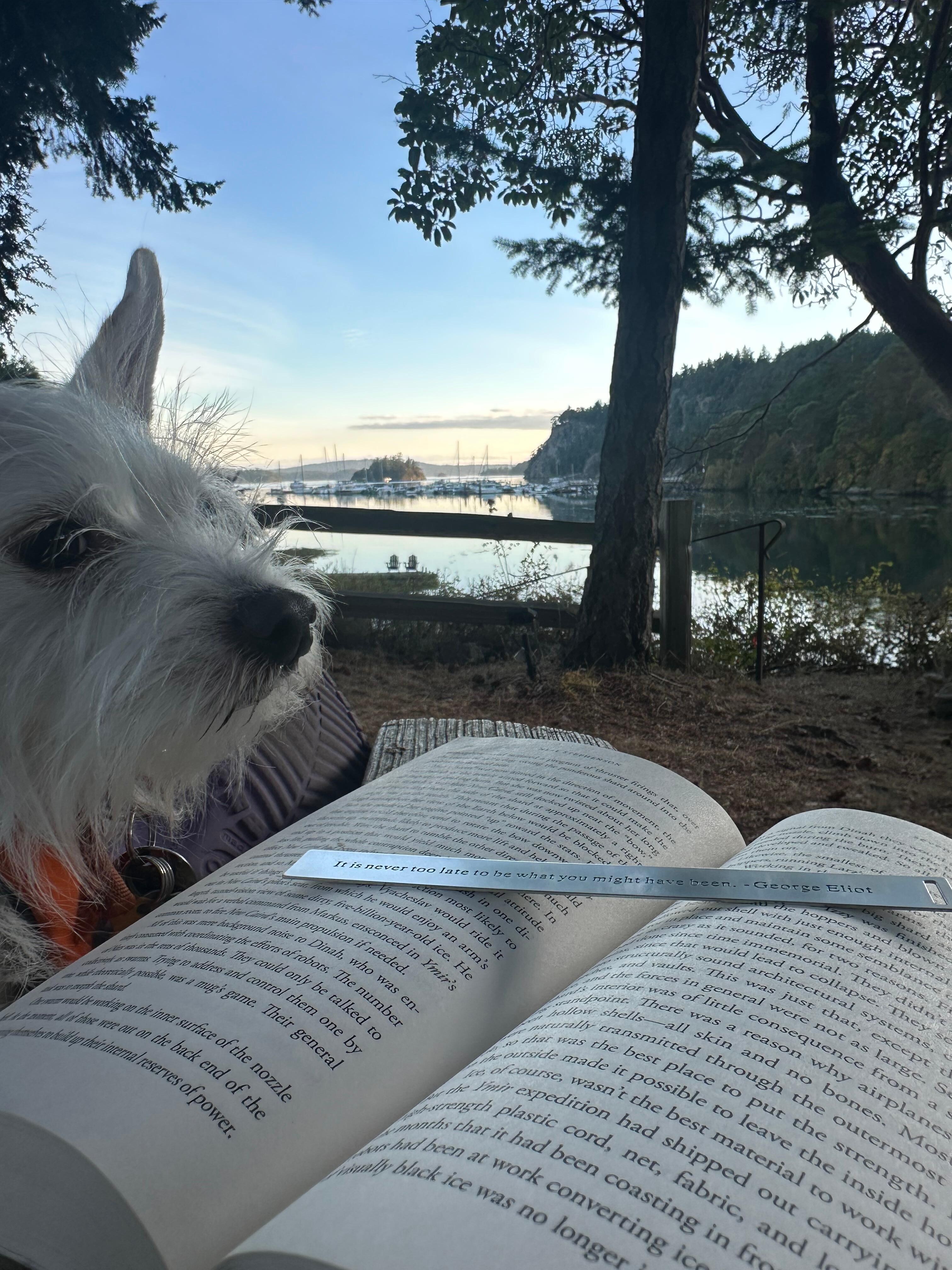 Dog, book, and a view