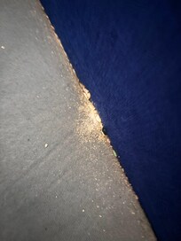 Filthy under seat cushion