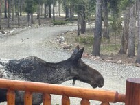 Right outside