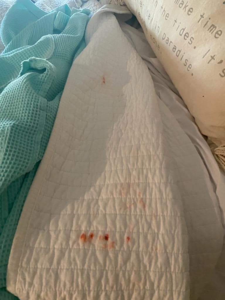 Guest bedroom comforter