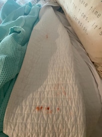 Guest bedroom comforter