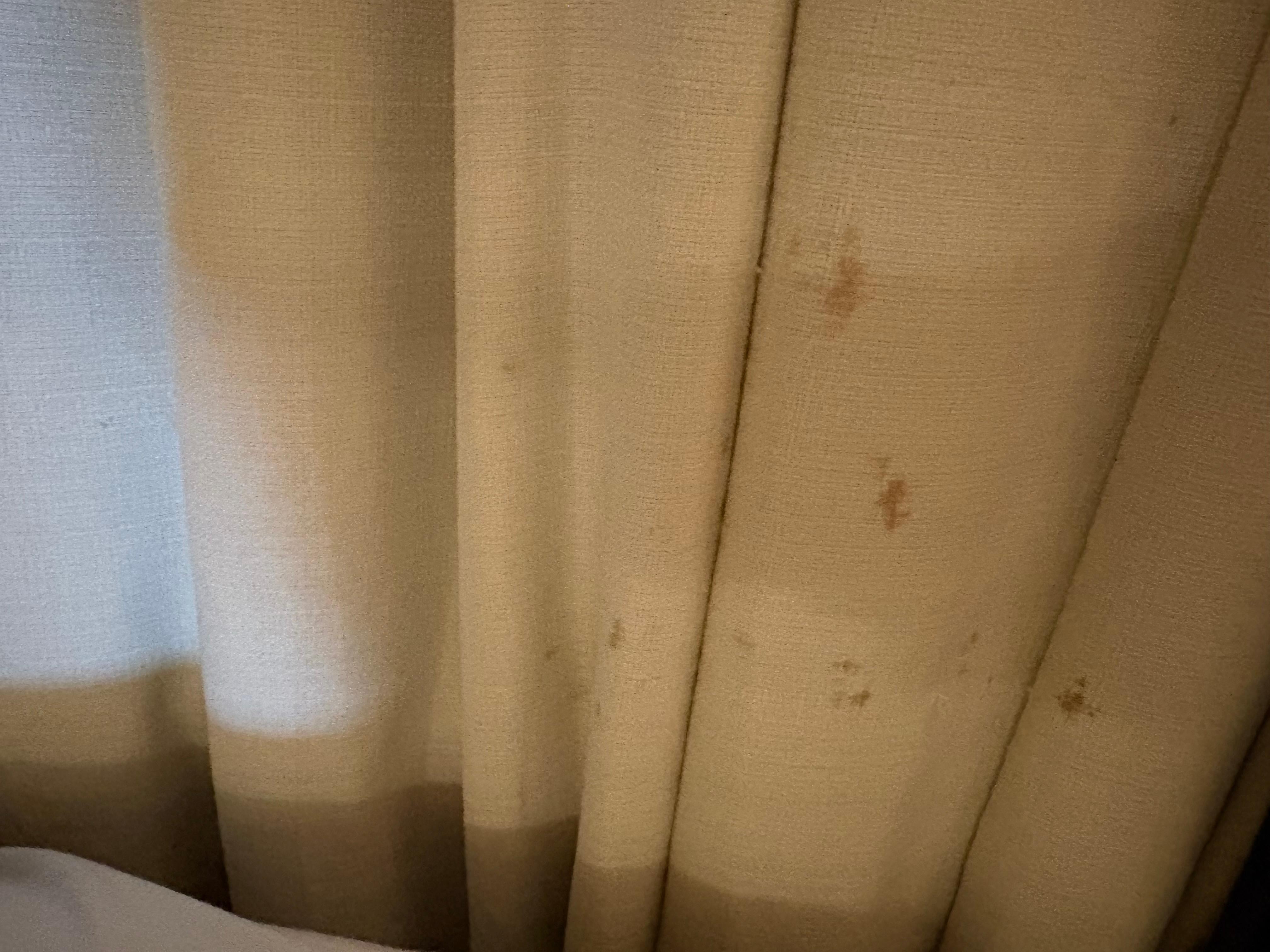 Too scared to smell if this curtain stain right next to guest bed was poop or blood. 💩
