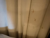 Too scared to smell if this curtain stain right next to guest bed was poop or blood. 💩