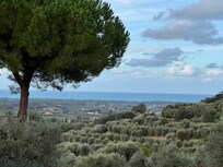 View from the property