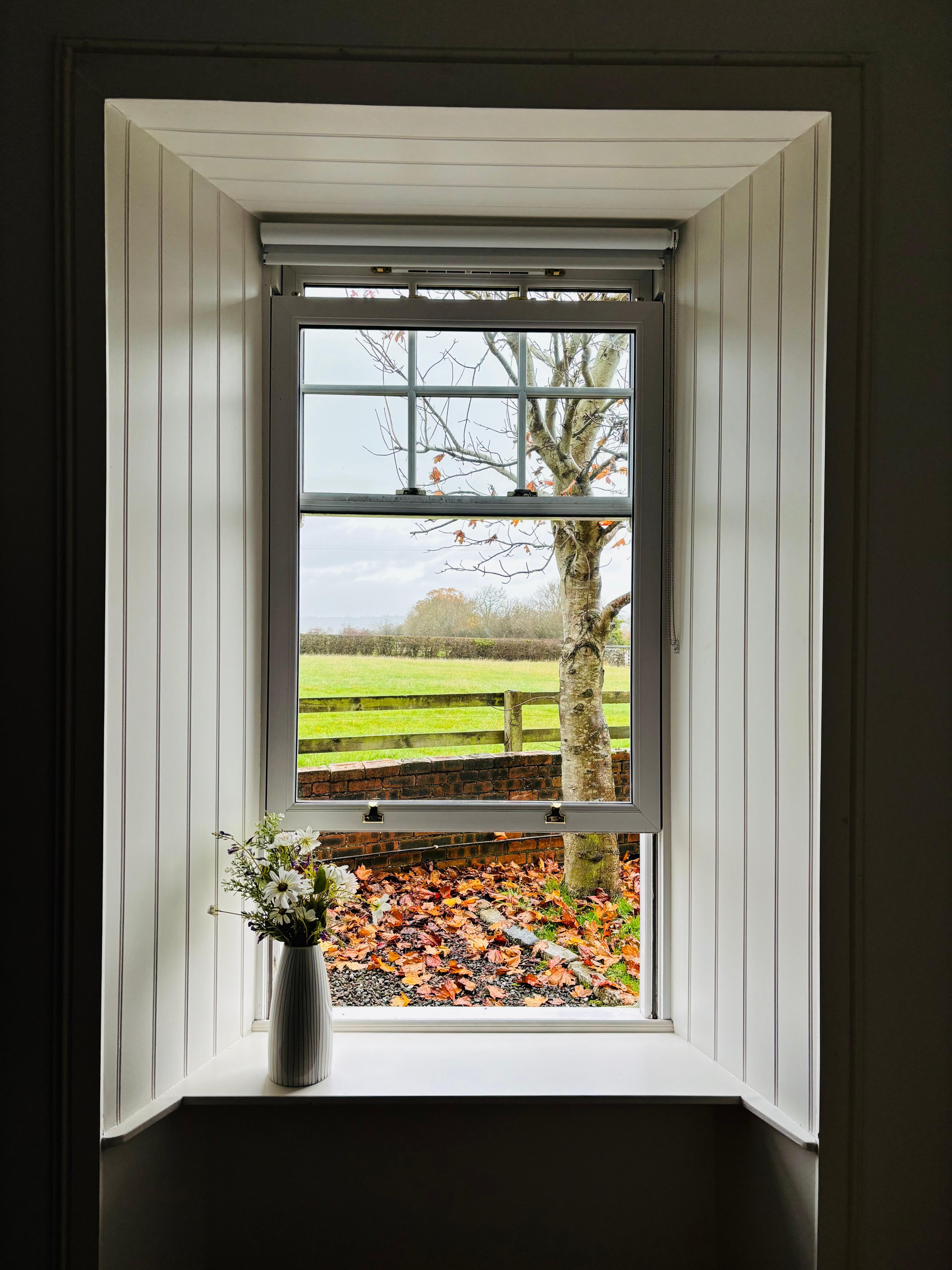 The beautiful autumn view we woke up to every morning during our stay at Bankend.