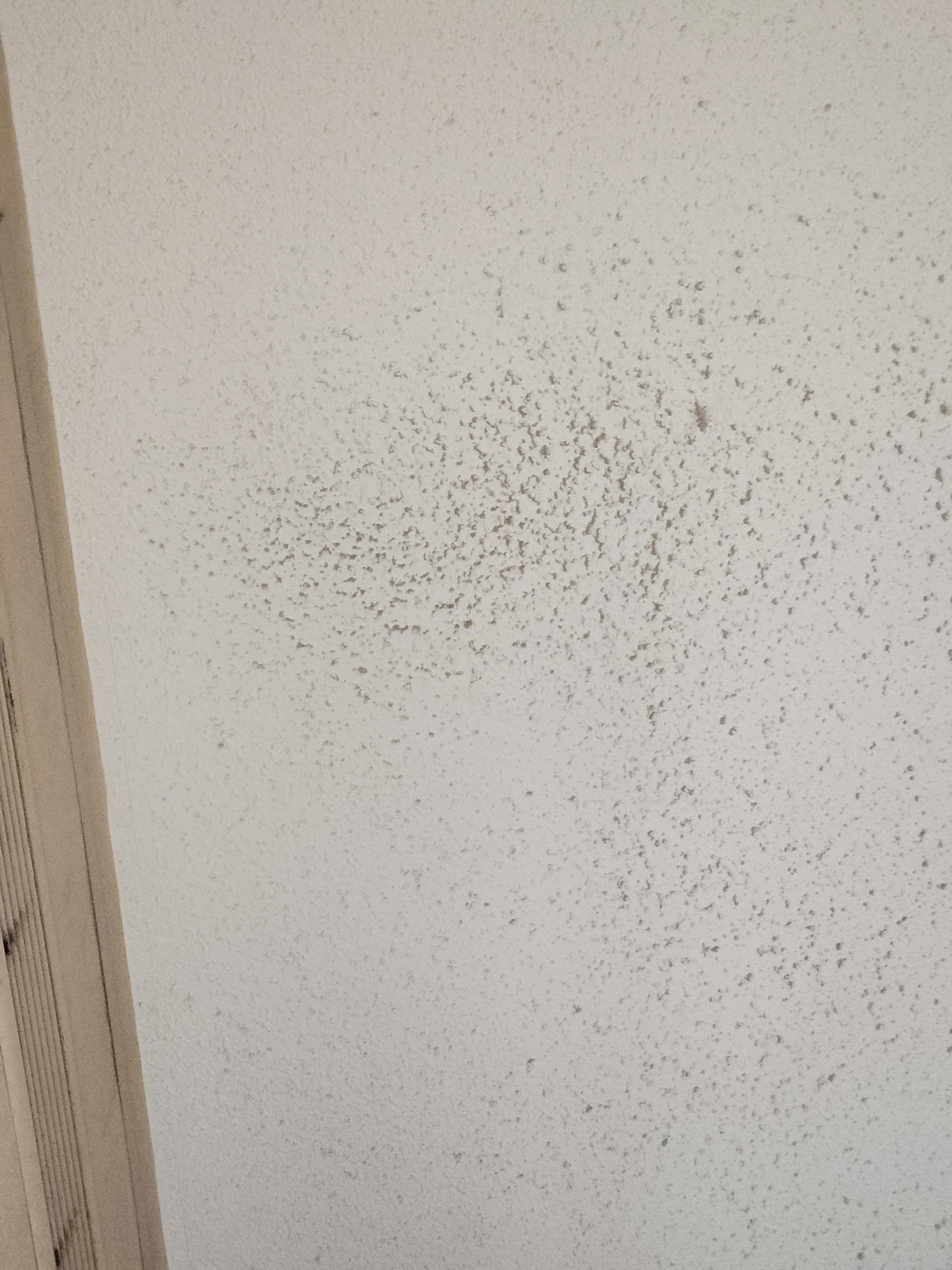 No grab bar in shower or a working fan