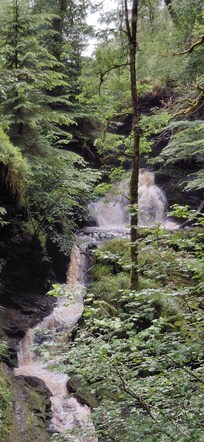 Puck's Glen