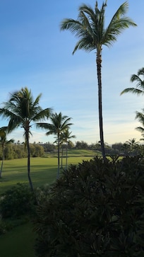 View out the lani