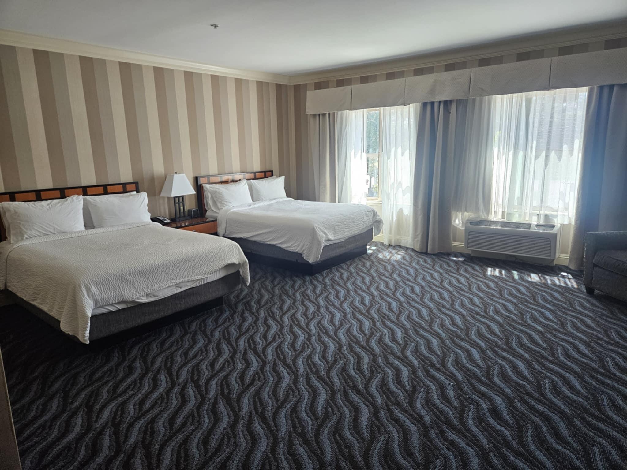 Suite queen beds 