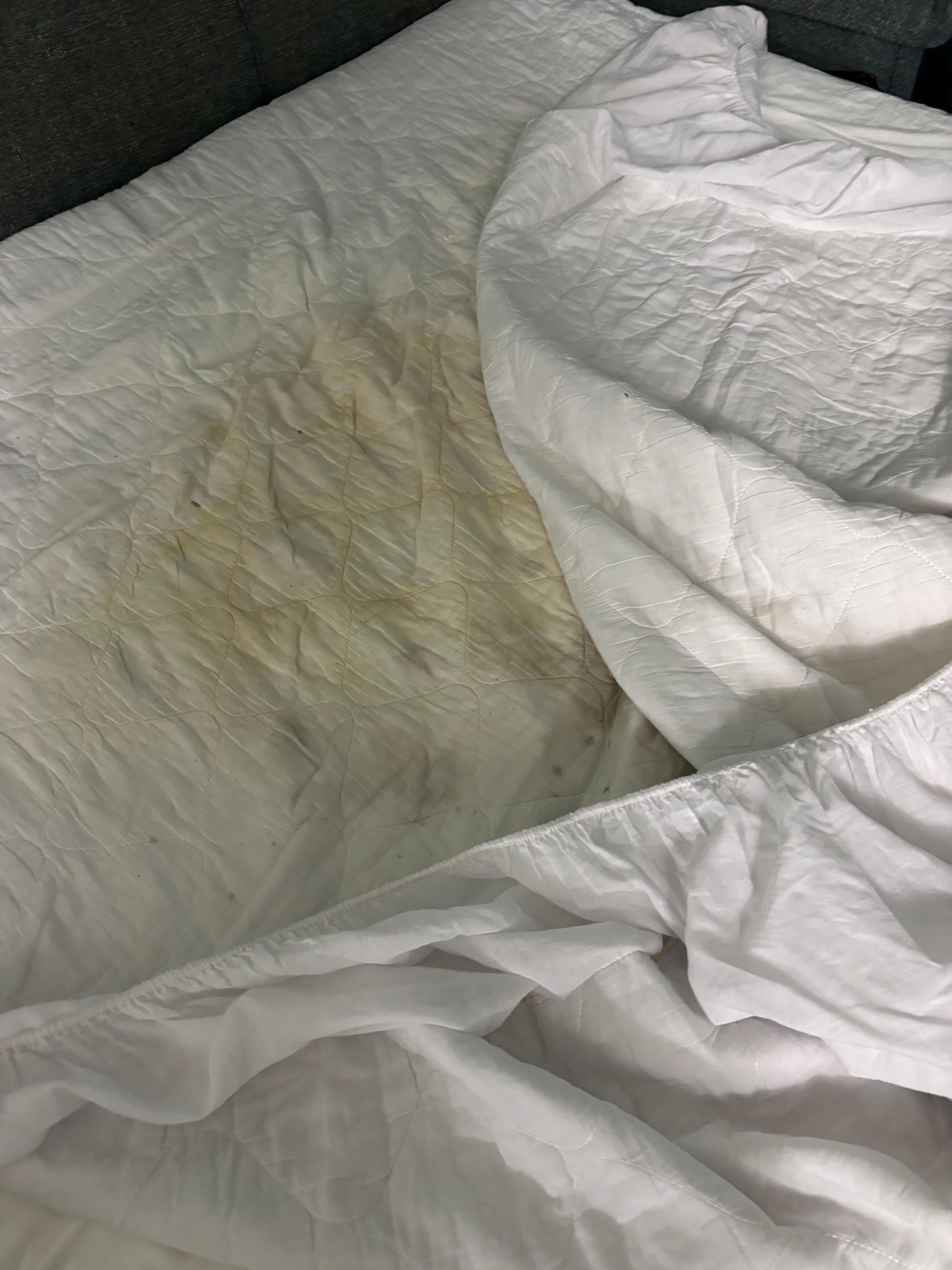 Mattress cover soiled with urine