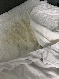 Mattress cover soiled with urine