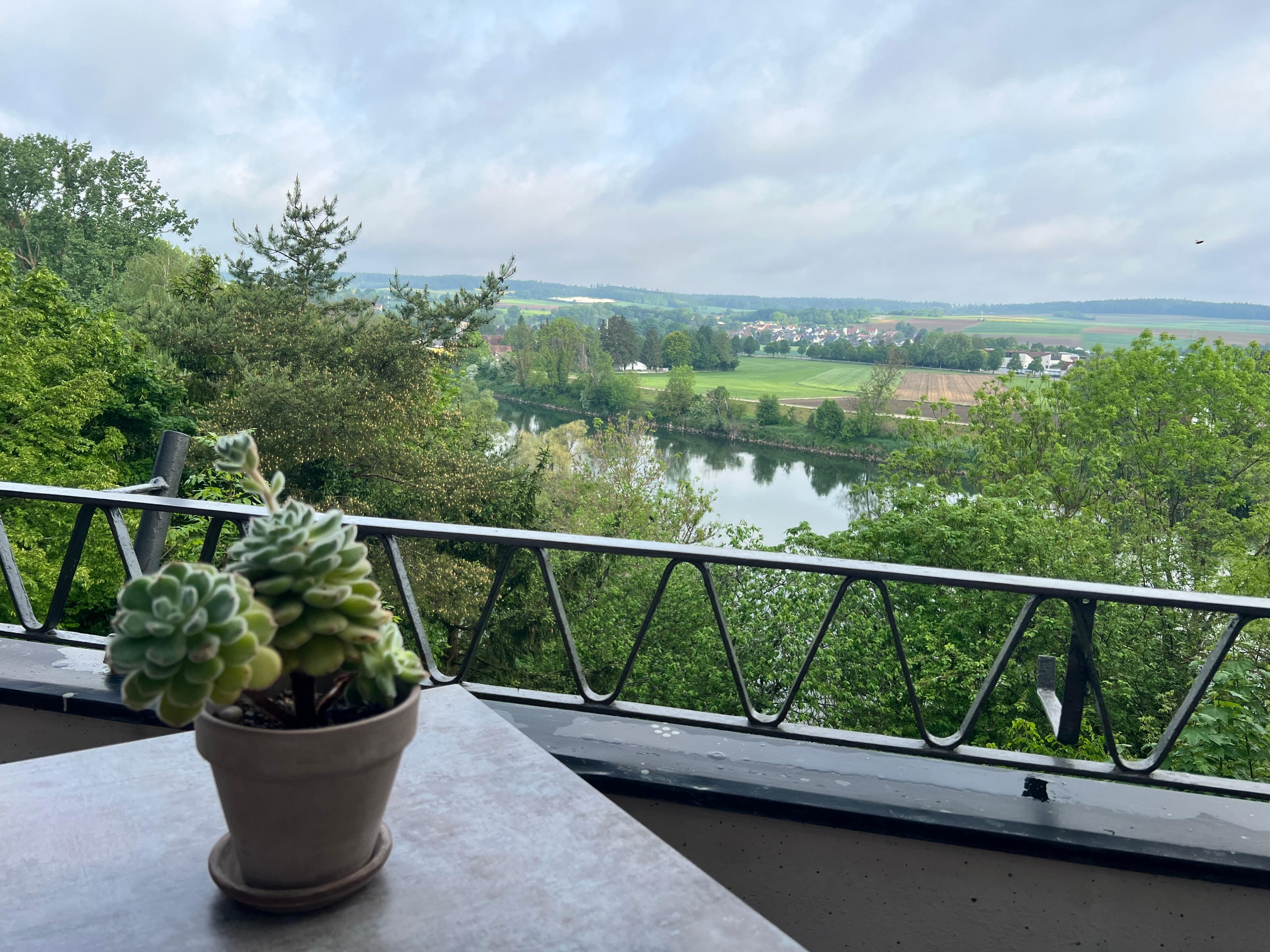 The view of the Danube at breakfast