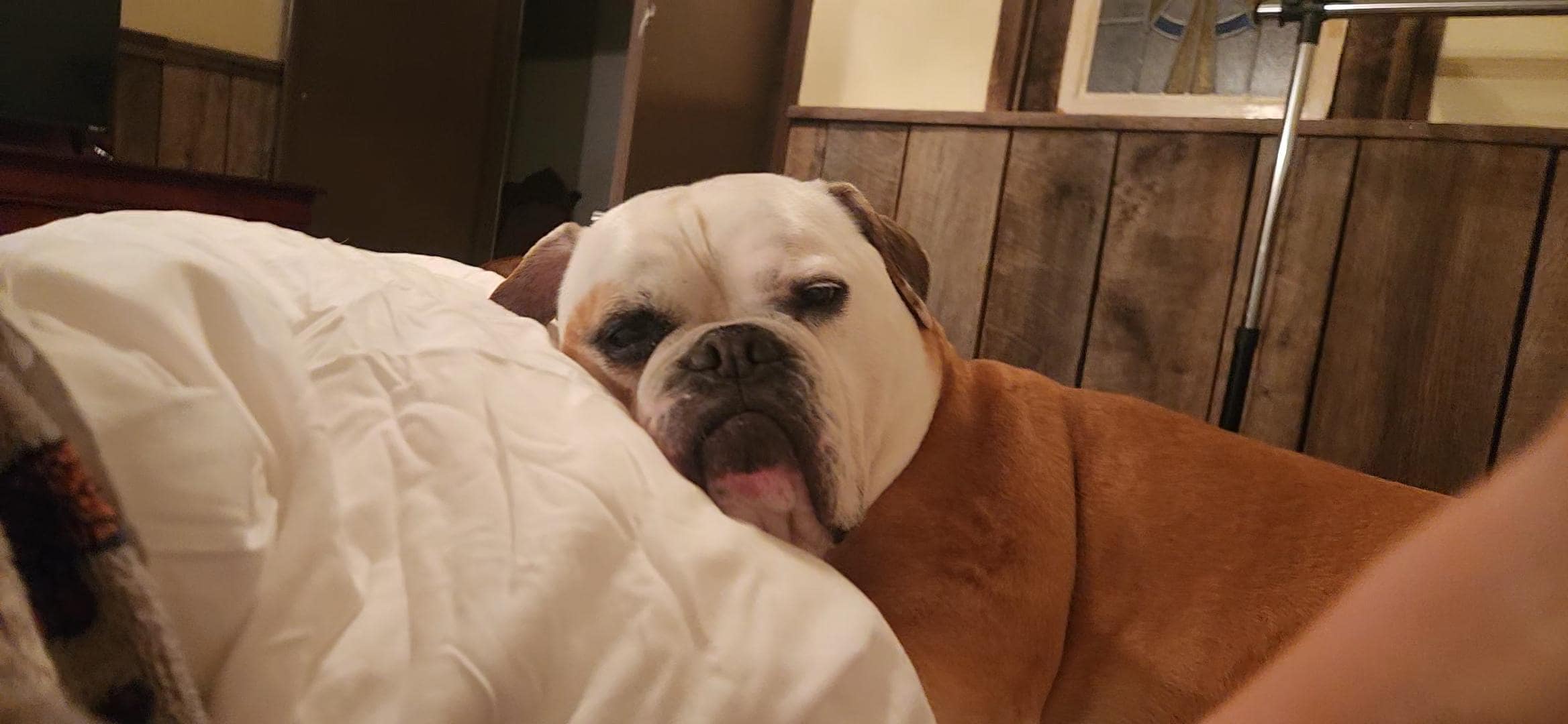 Much needed relaxation