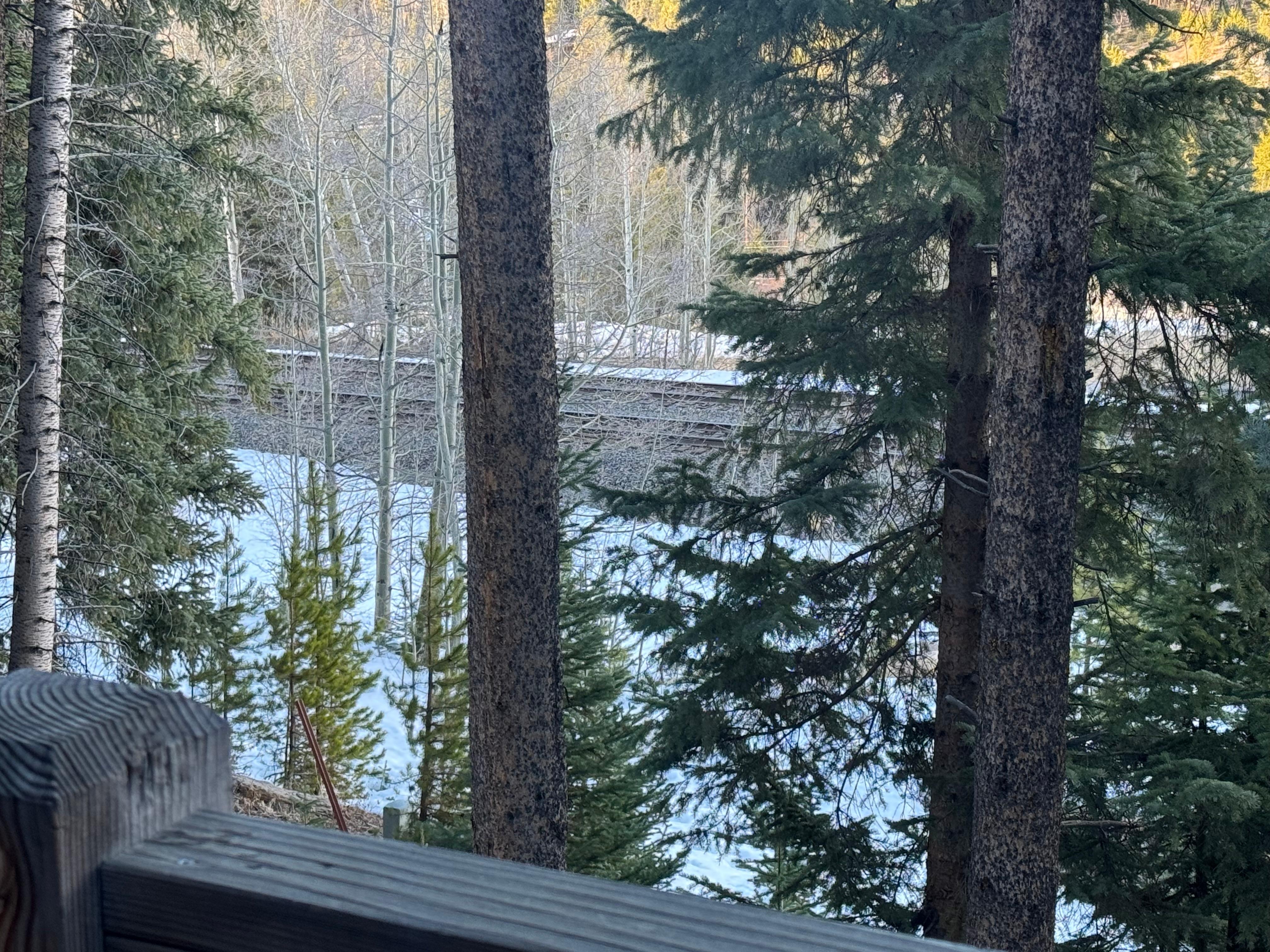 Railroad tracks that ran freight trains and Amtrak all hours of the day and night. 