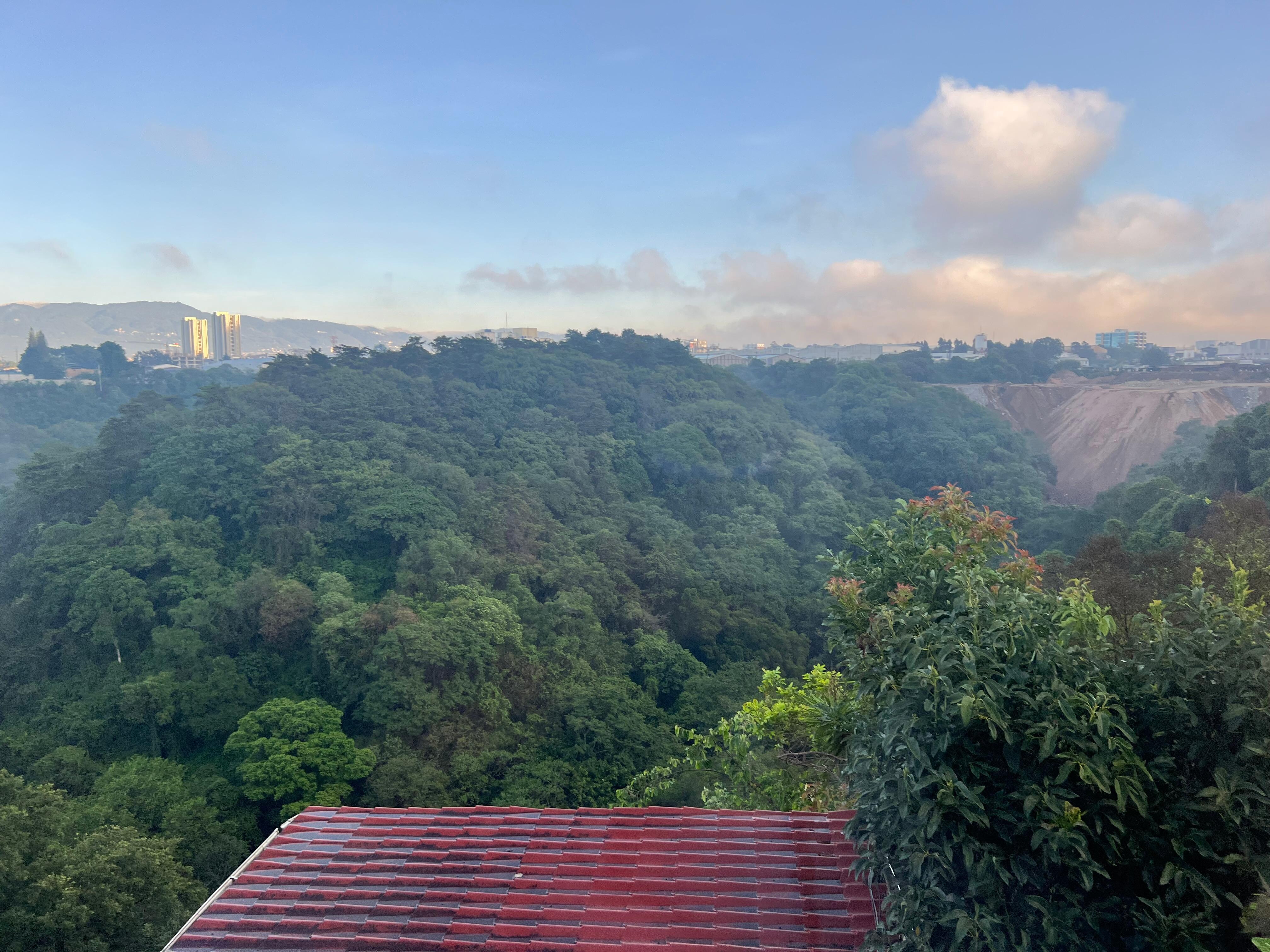 The view