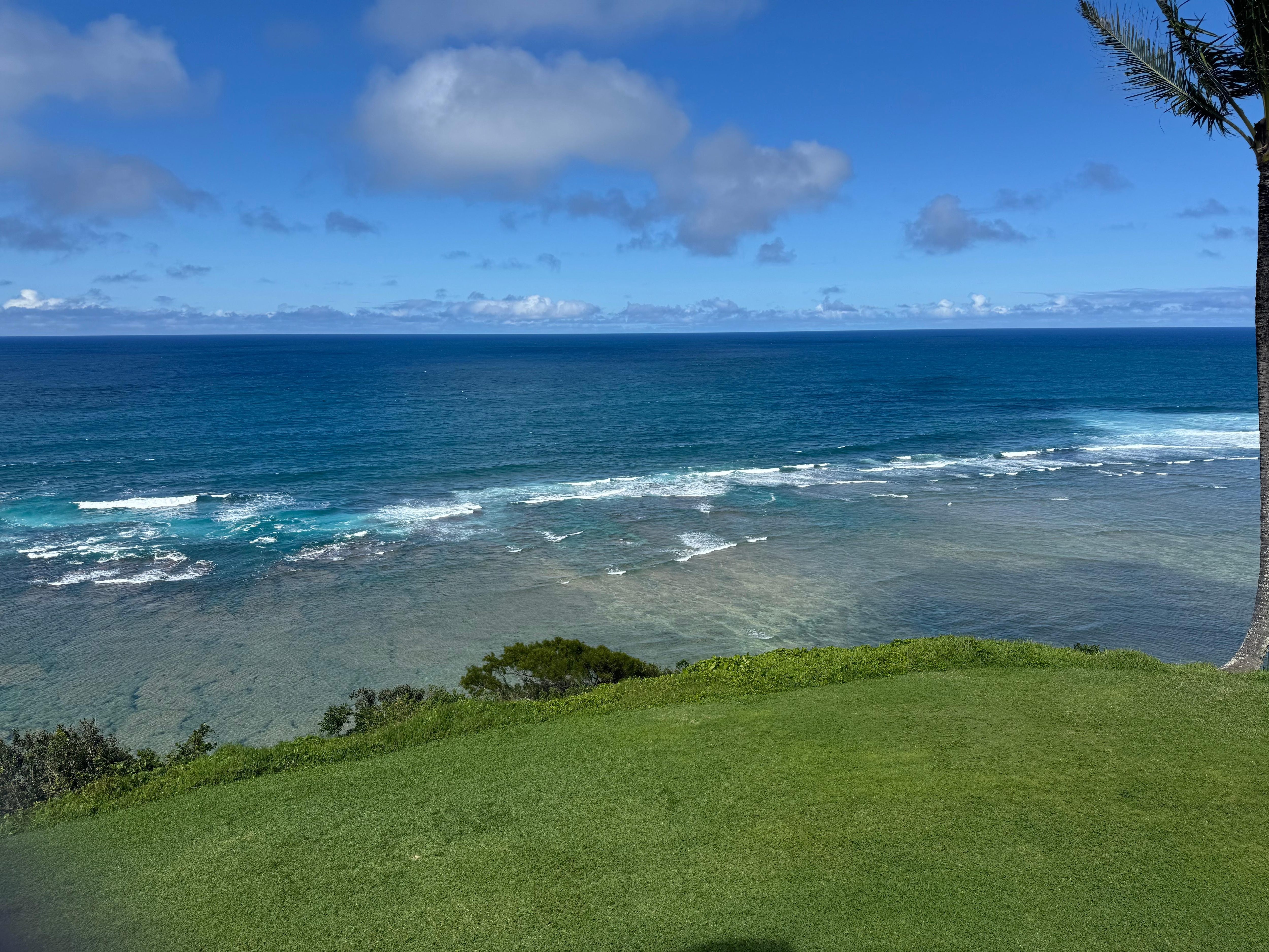 View from the rear lani