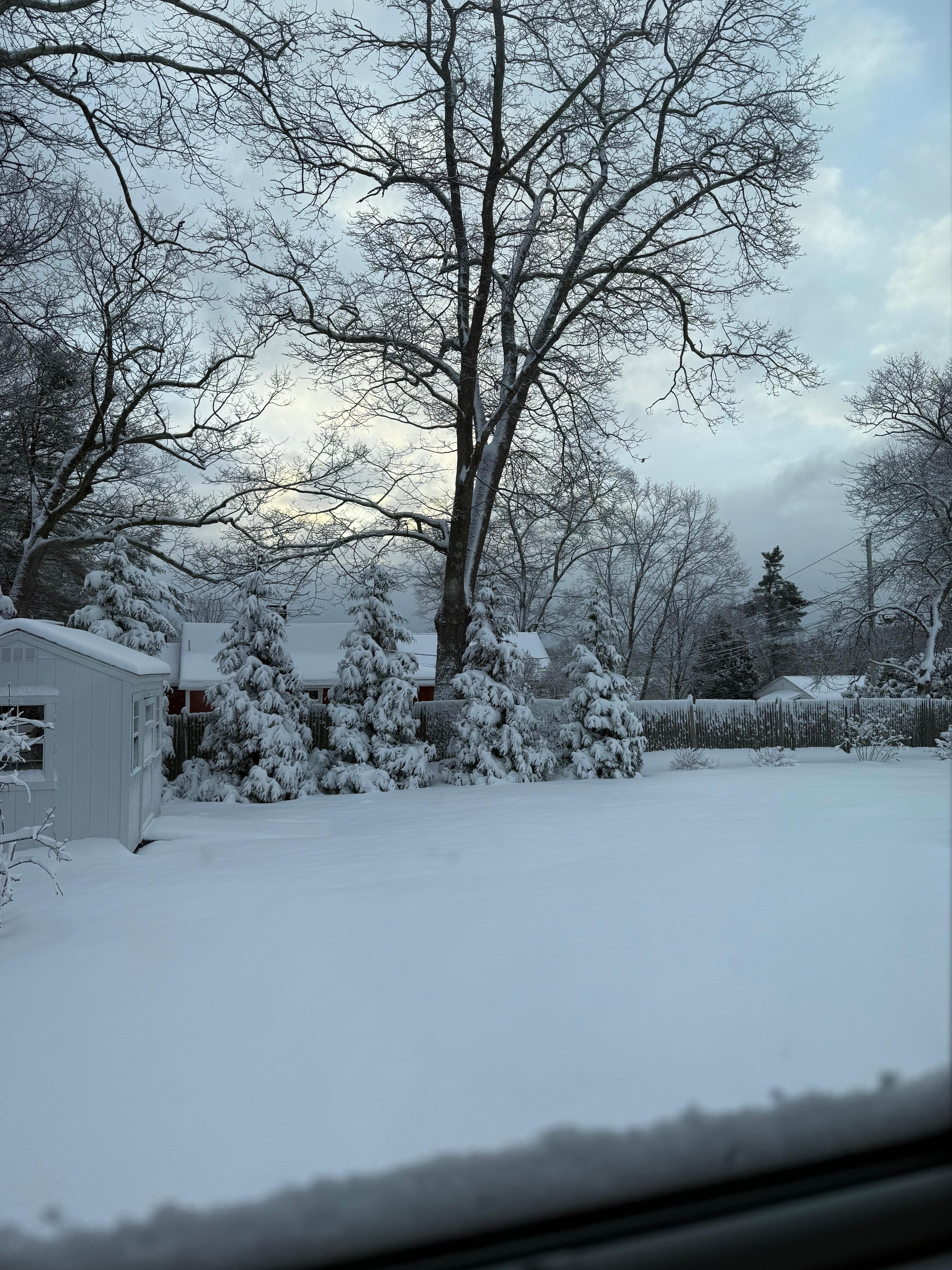 A beautiful snowy Christmas Eve morning 