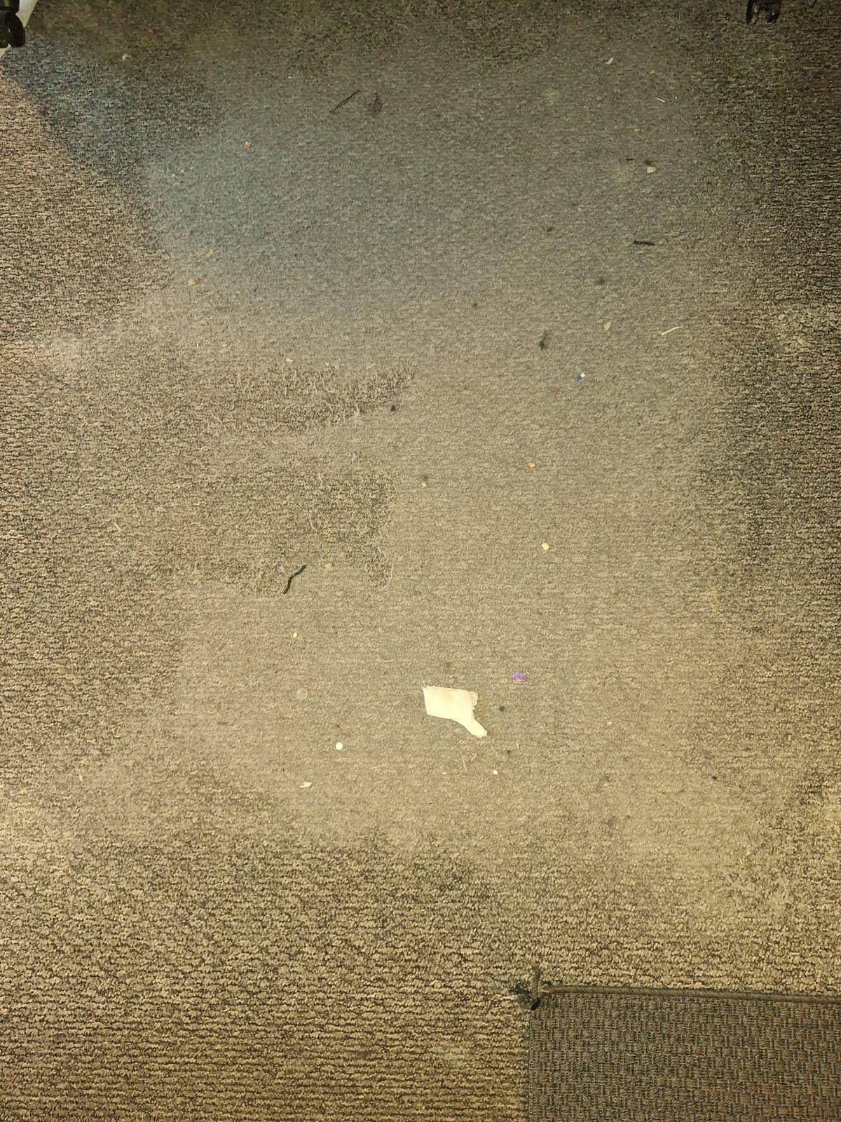 Stains on the carpet