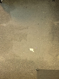 Stains on the carpet
