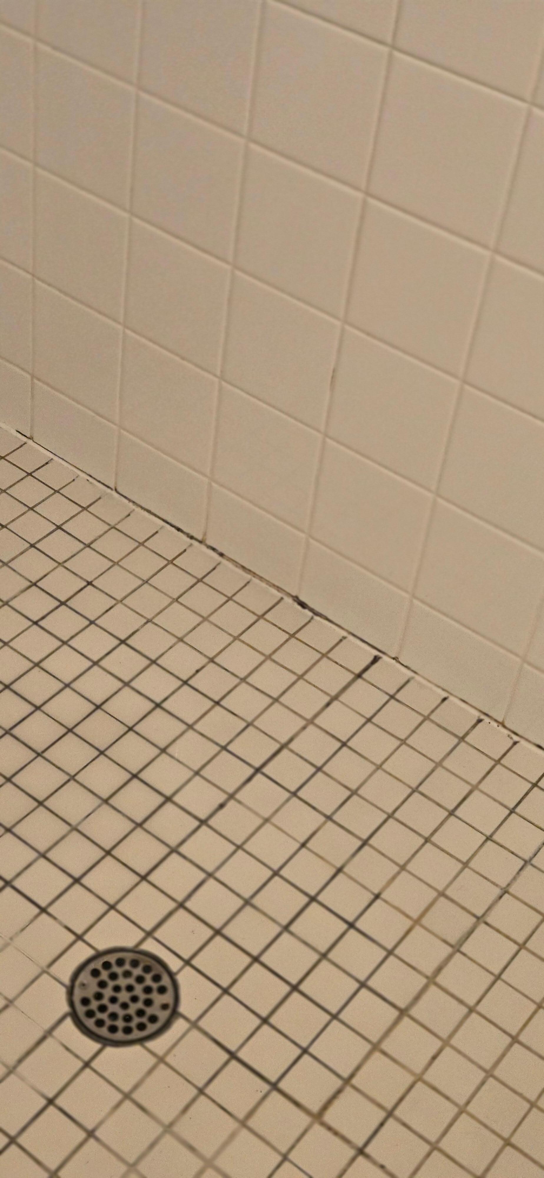 Moldy shower 