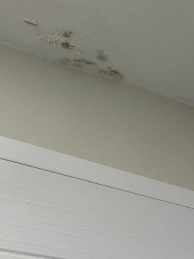 Mold in the bathroom