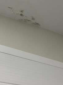 Mold in the bathroom