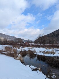View of the river from the house backyard