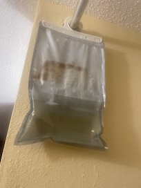 Water in a bag with mold