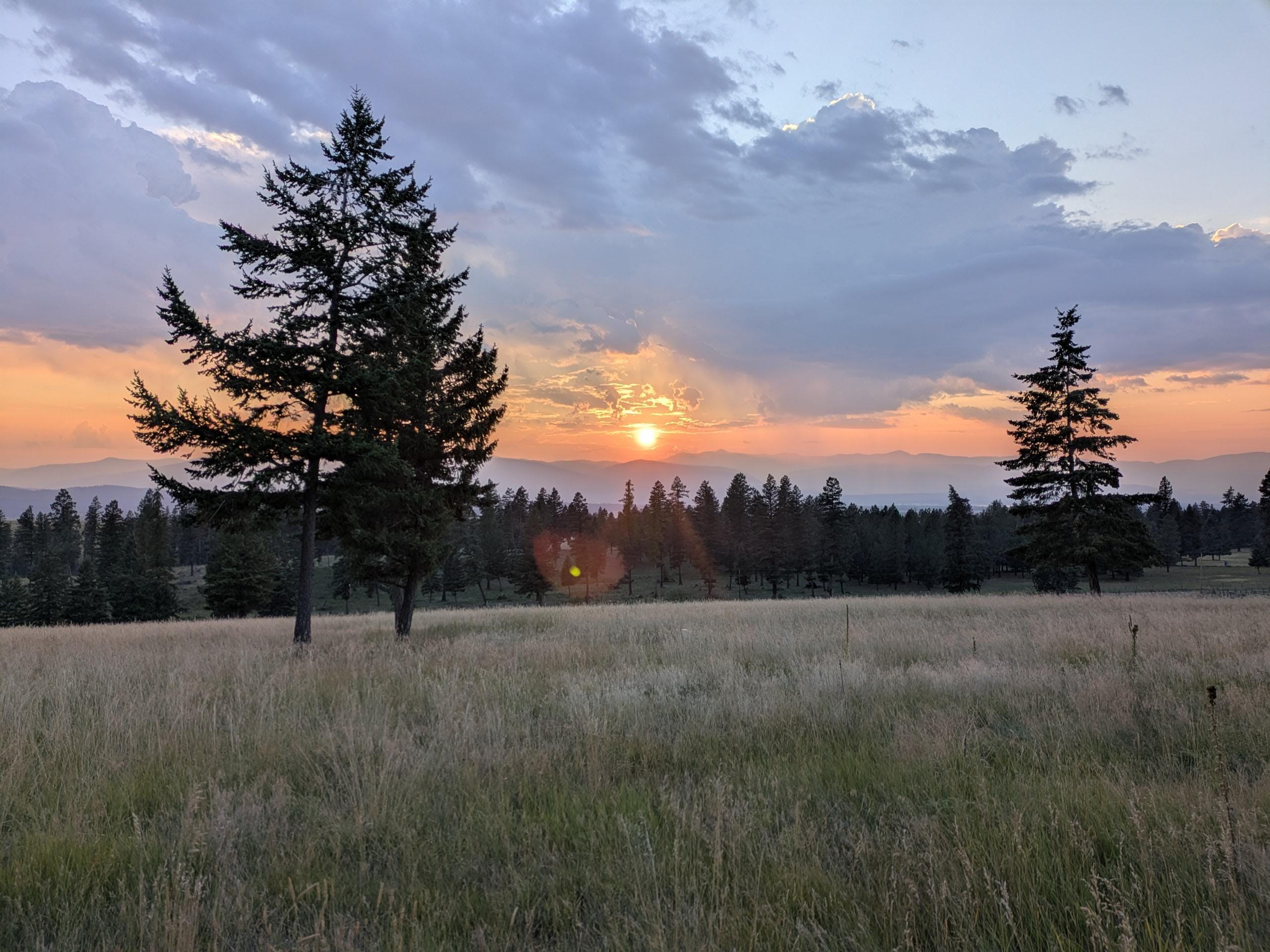 Sunset from backyard. 