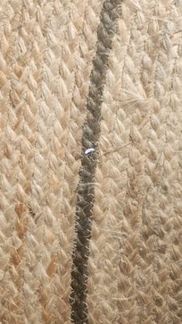 This rug needs to be trashed.