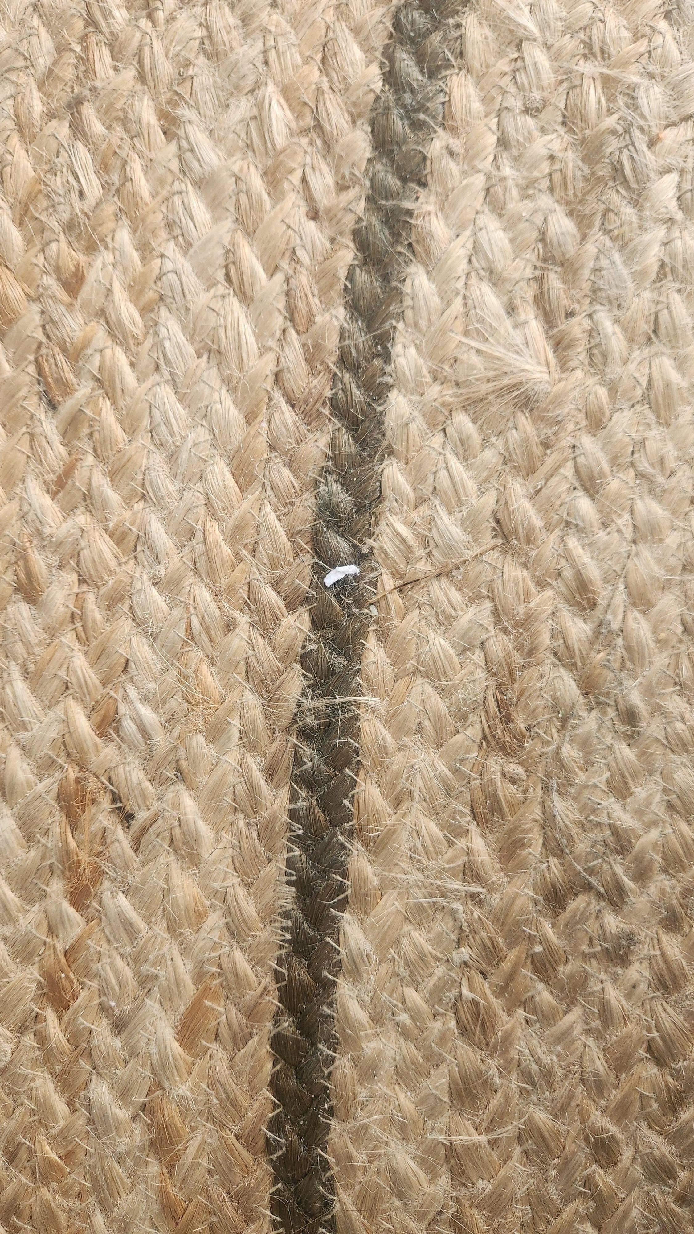 This rug needs to be trashed.
