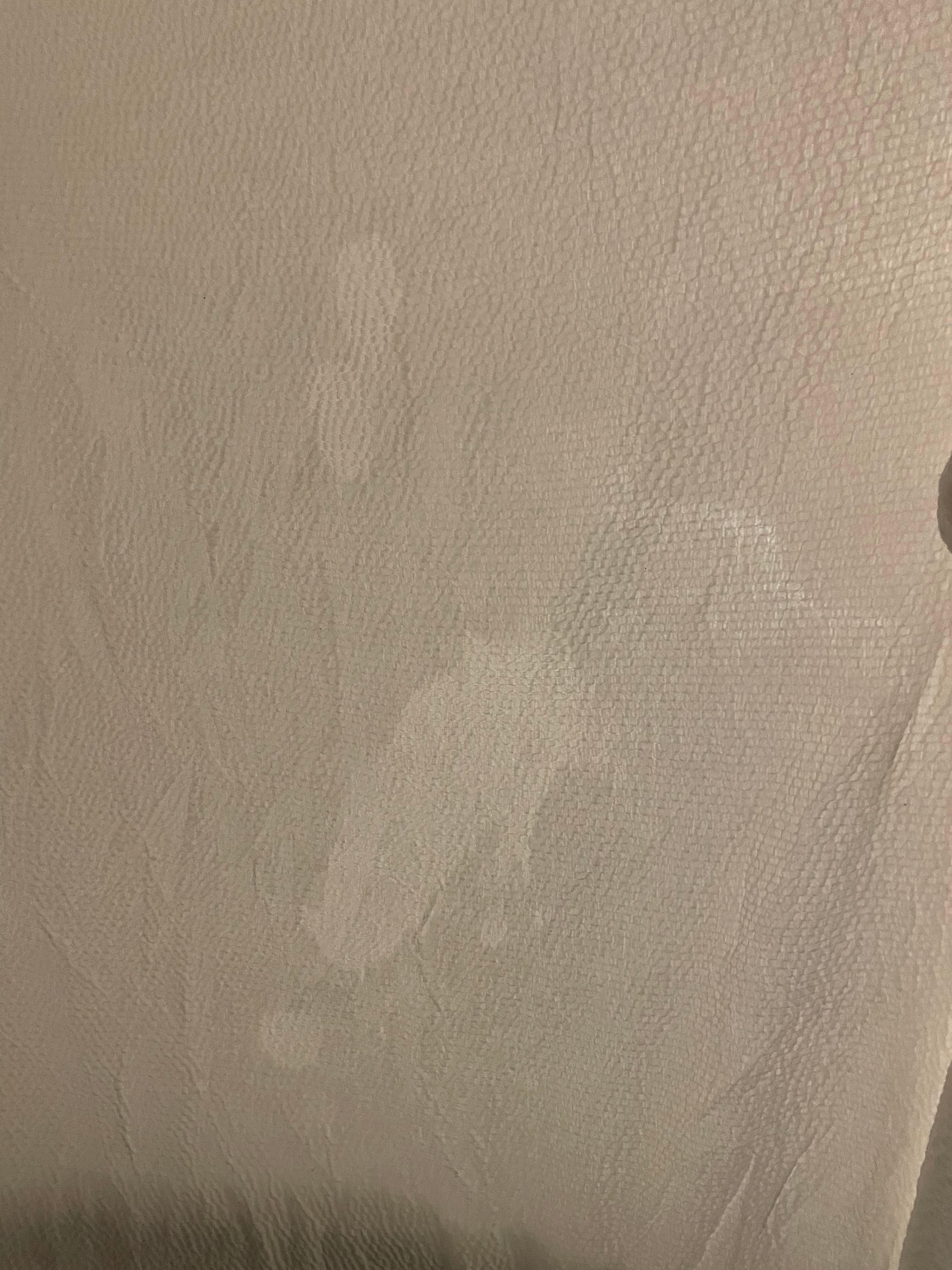 Unidentified stain on the top decorative bed sheet. (FWIW, I don't want to identify it.)