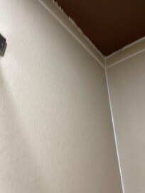 There were black stains around the shower