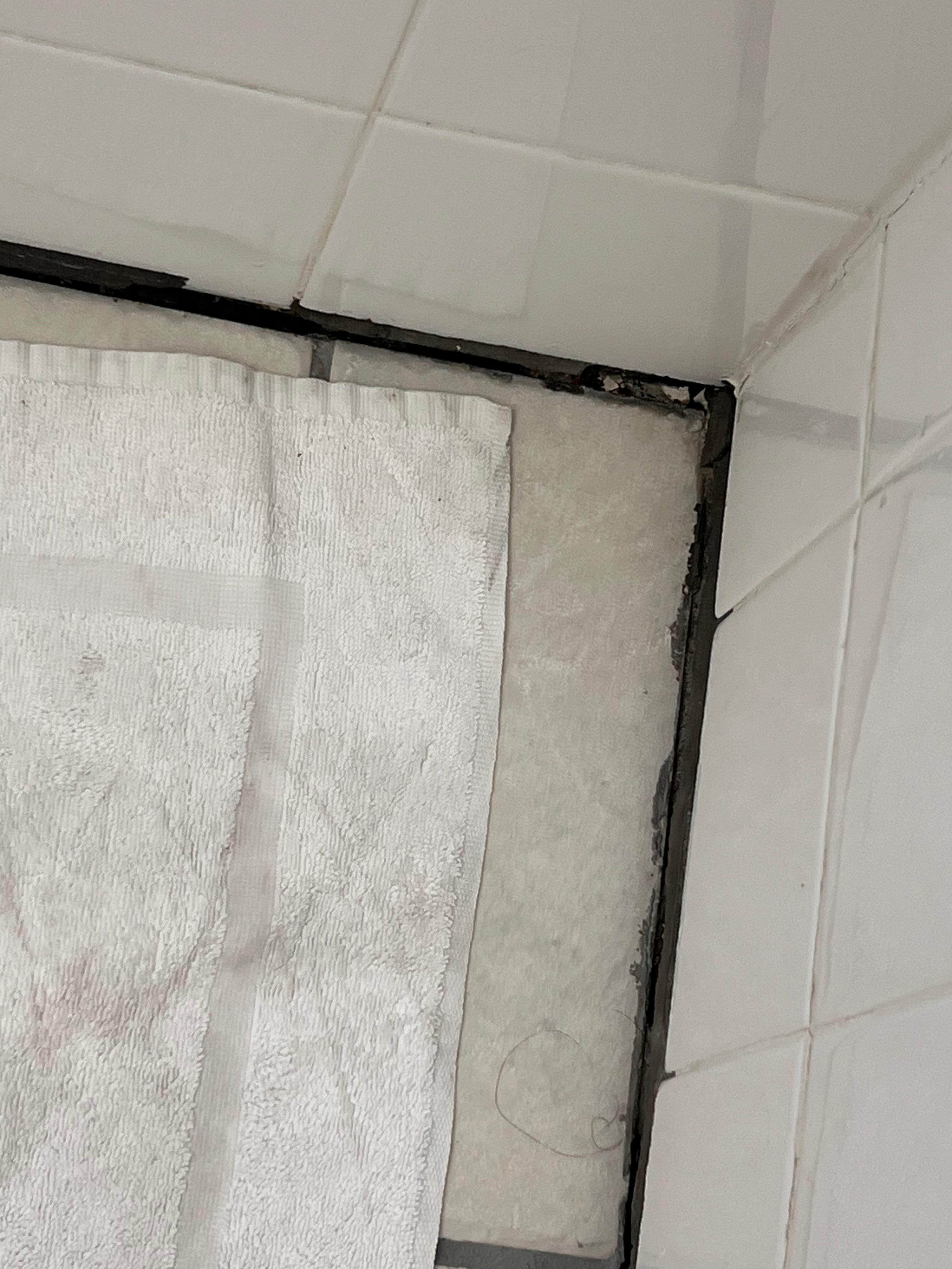 Bathroom tile 