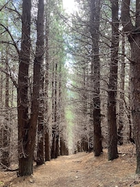 Coming down the Summit track is pretty steep :)