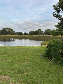 Pond view from house.