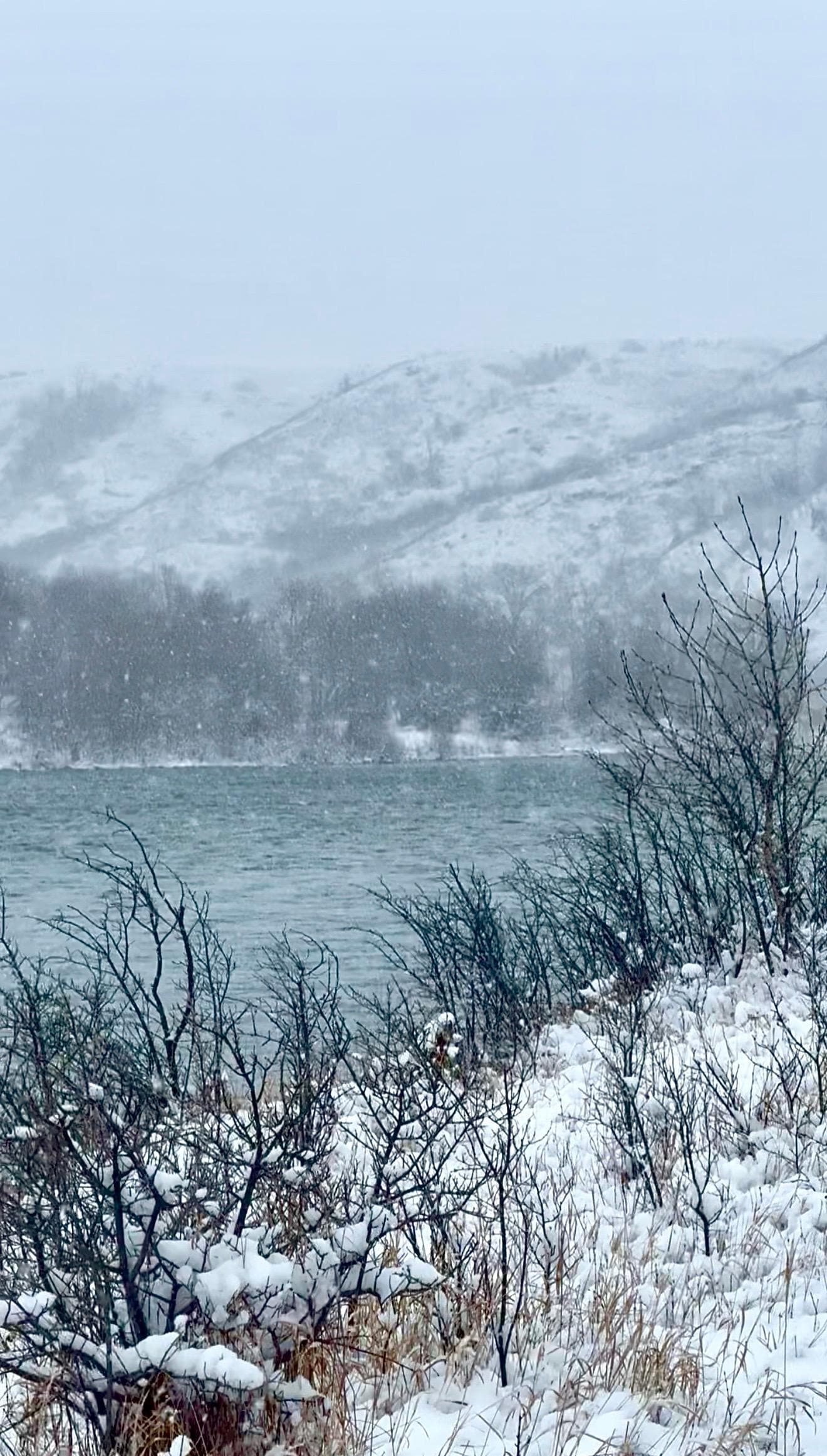 Incredible Riverview 