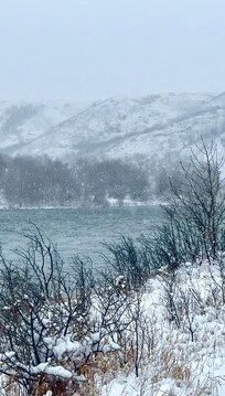 Incredible Riverview