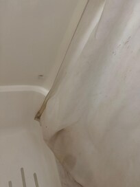 Disgusting shower curtain