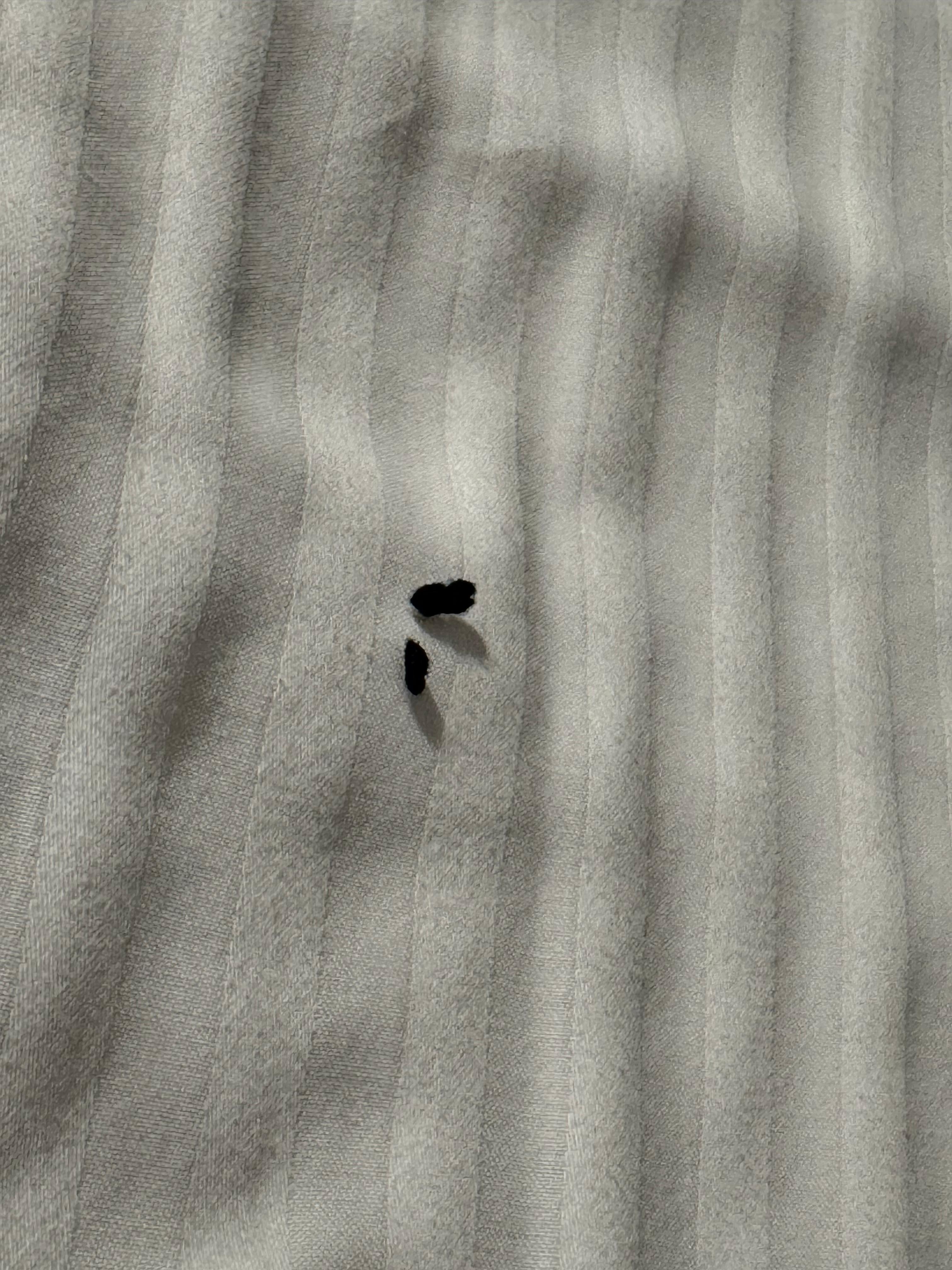 Maus turds on bed when sheets pulled back. Were the sheets changed or as the bed not been used in a while?