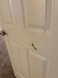 Master bedroom door cracked in multiple places.