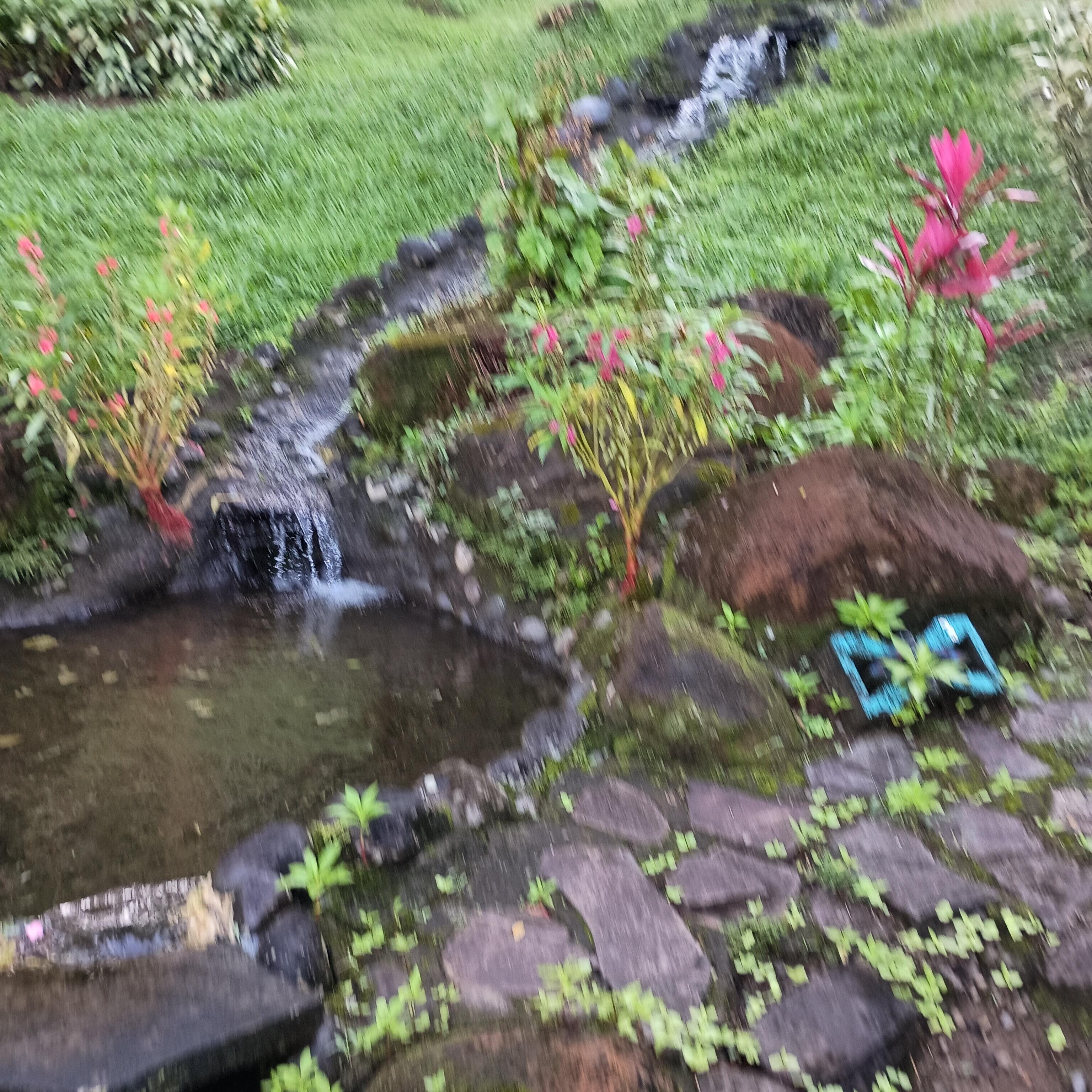 The gardens