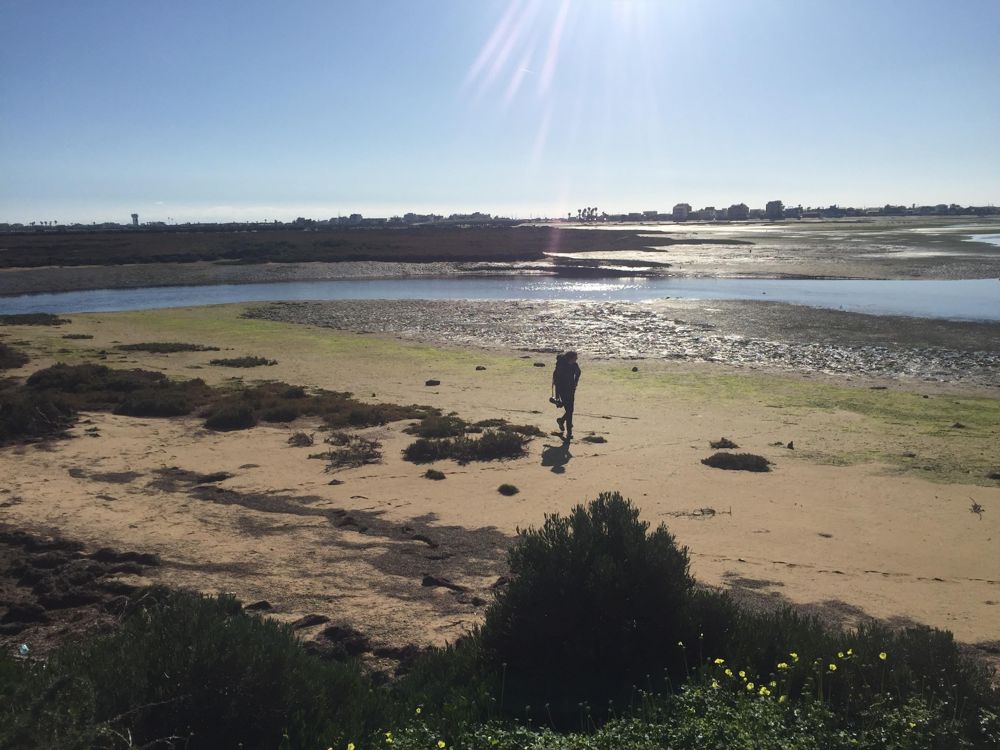 Observation et photographie des oiseaux.