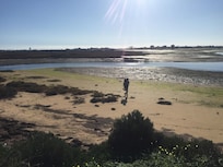 Observation et photographie des oiseaux.