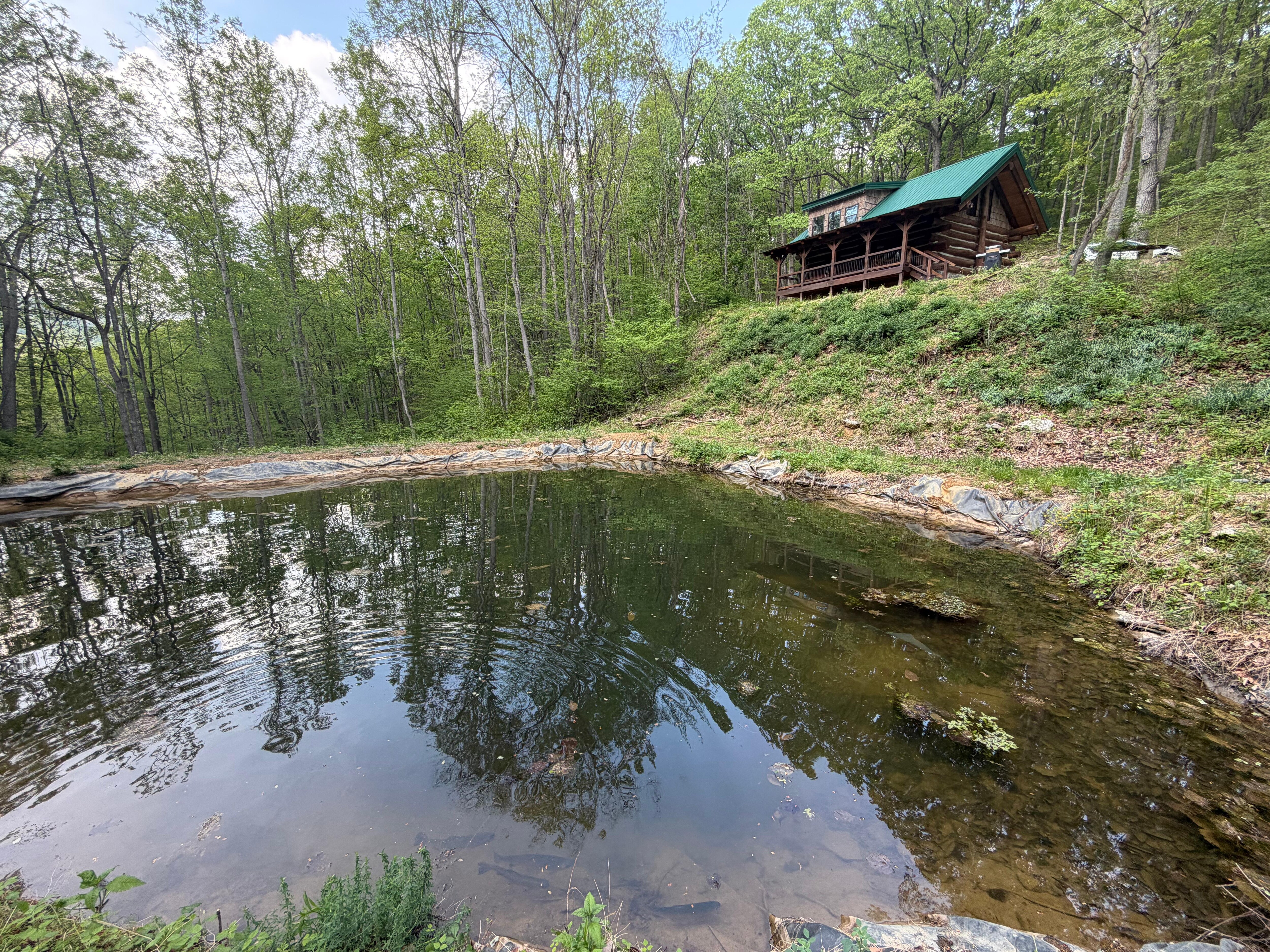 Pond looking up to the house 