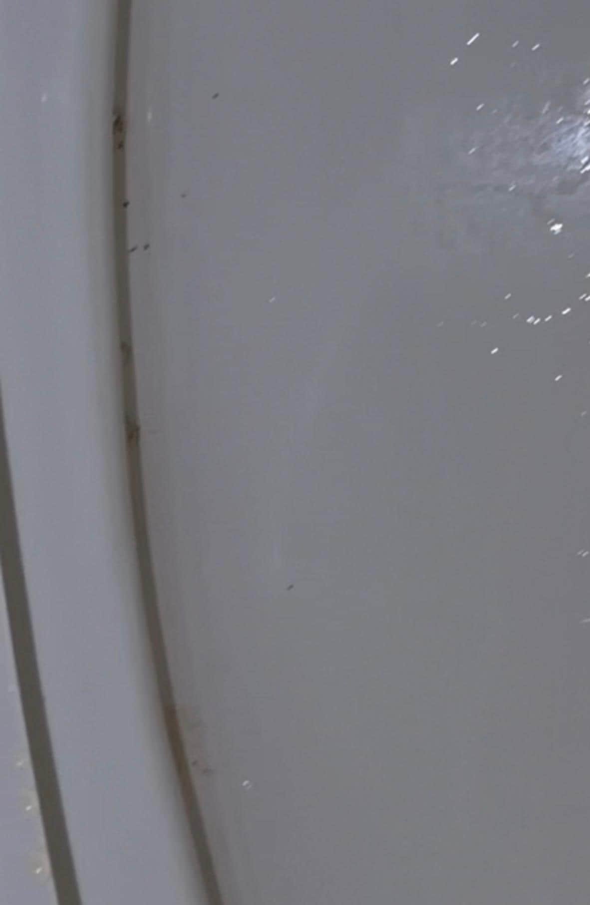 Inside of the toilet